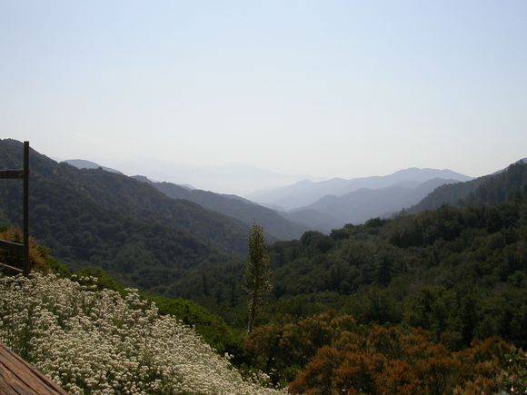 DSCN8268.JPG