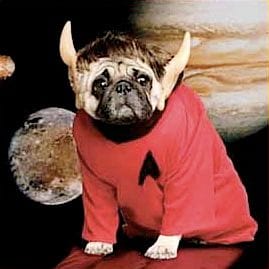 spock dog.jpg