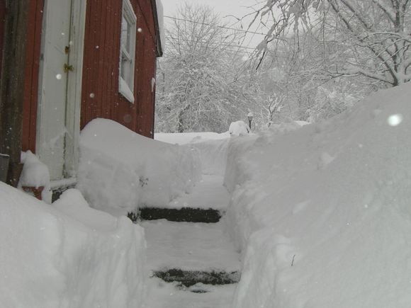 blizzard 004.jpg