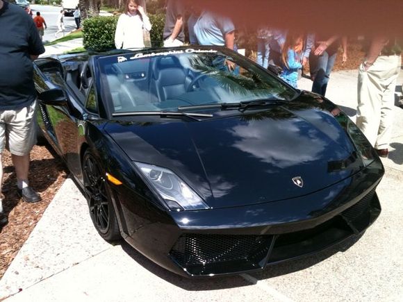 gallardo1.jpg