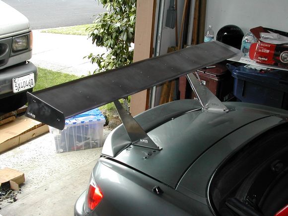 Wing 009.jpg