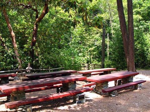 4097680-Lithia_Park_Picnic_Tables-Ashland.jpg