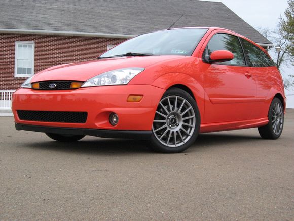 SVT Focus Euro