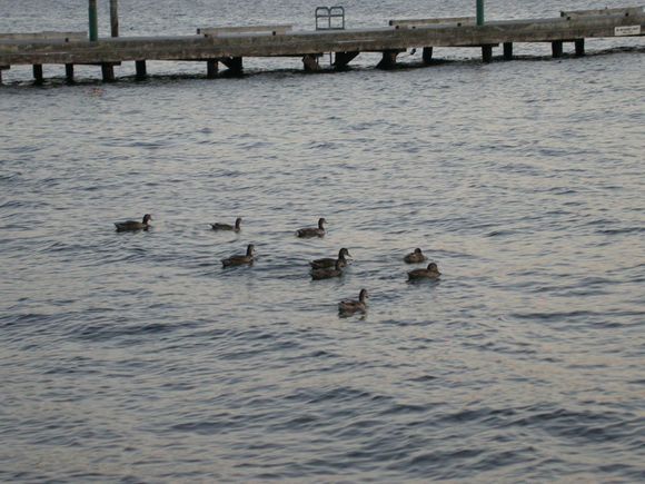 DSCN8512.JPG