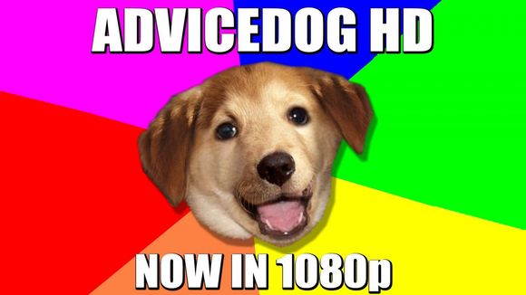 advicedog hd.jpg