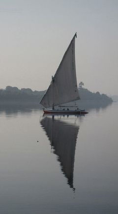 1085 Falluca.jpg