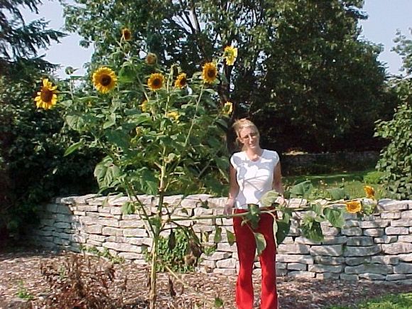garden5