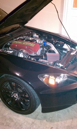 IMAG0027.jpg
