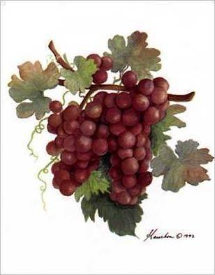 grapes.jpg