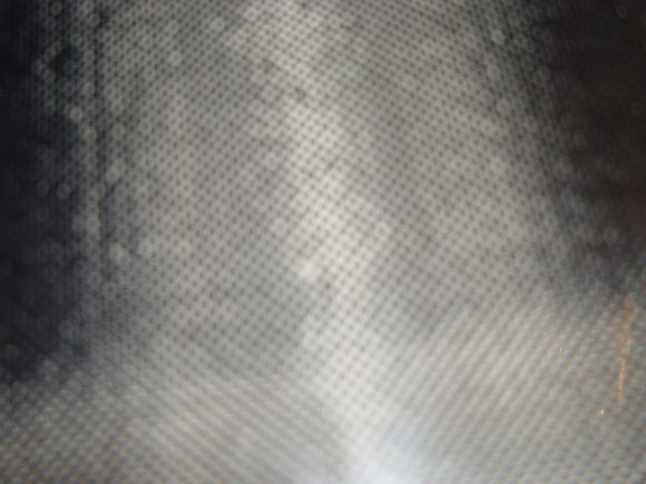 DSC00485.JPG