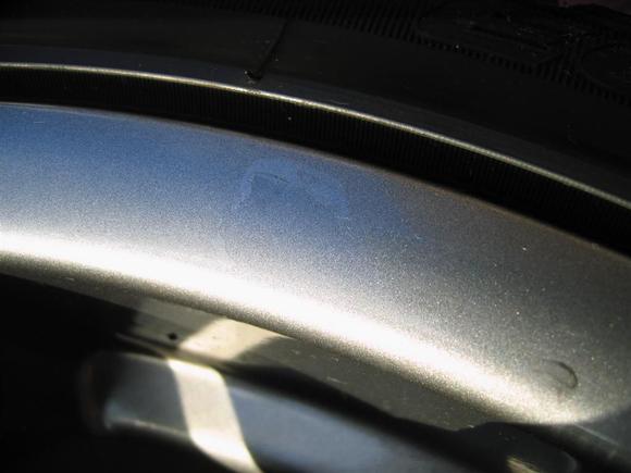 IMG 2656 (Large)