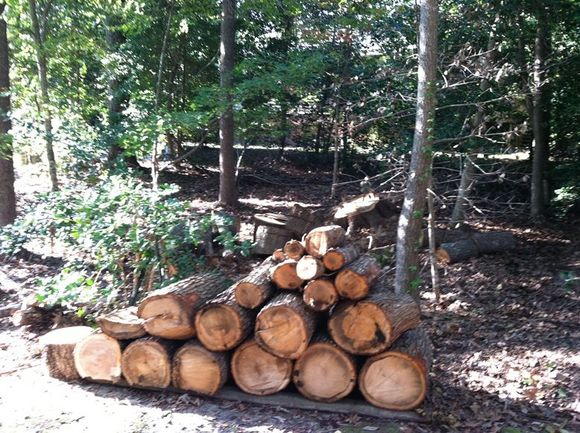 woodleft2