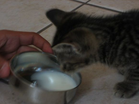 IMG 004.jpg
