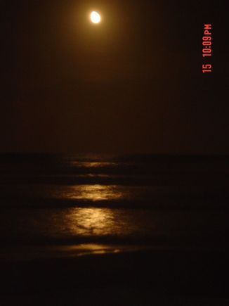 DSC00745.JPG