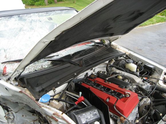 Hood Damage