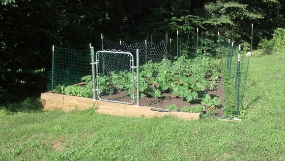 garden_july6