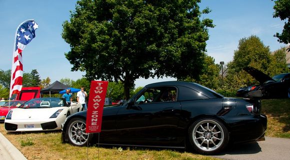 Arthritis Show 1