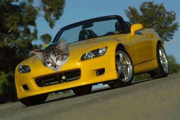 spa yellow hood ornament.png