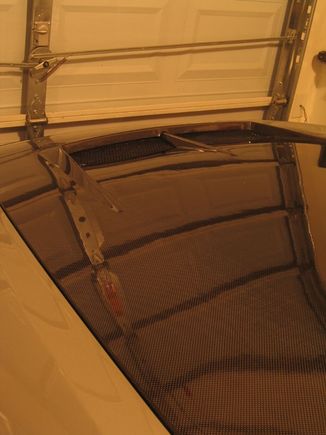 IMG_0154.jpg