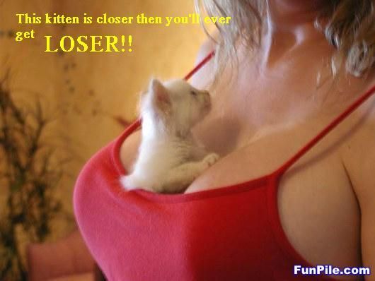 kittencloser.jpg