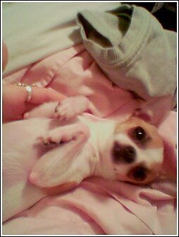 baby sleepin 3.jpg