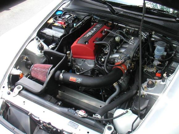 KN2.jpg