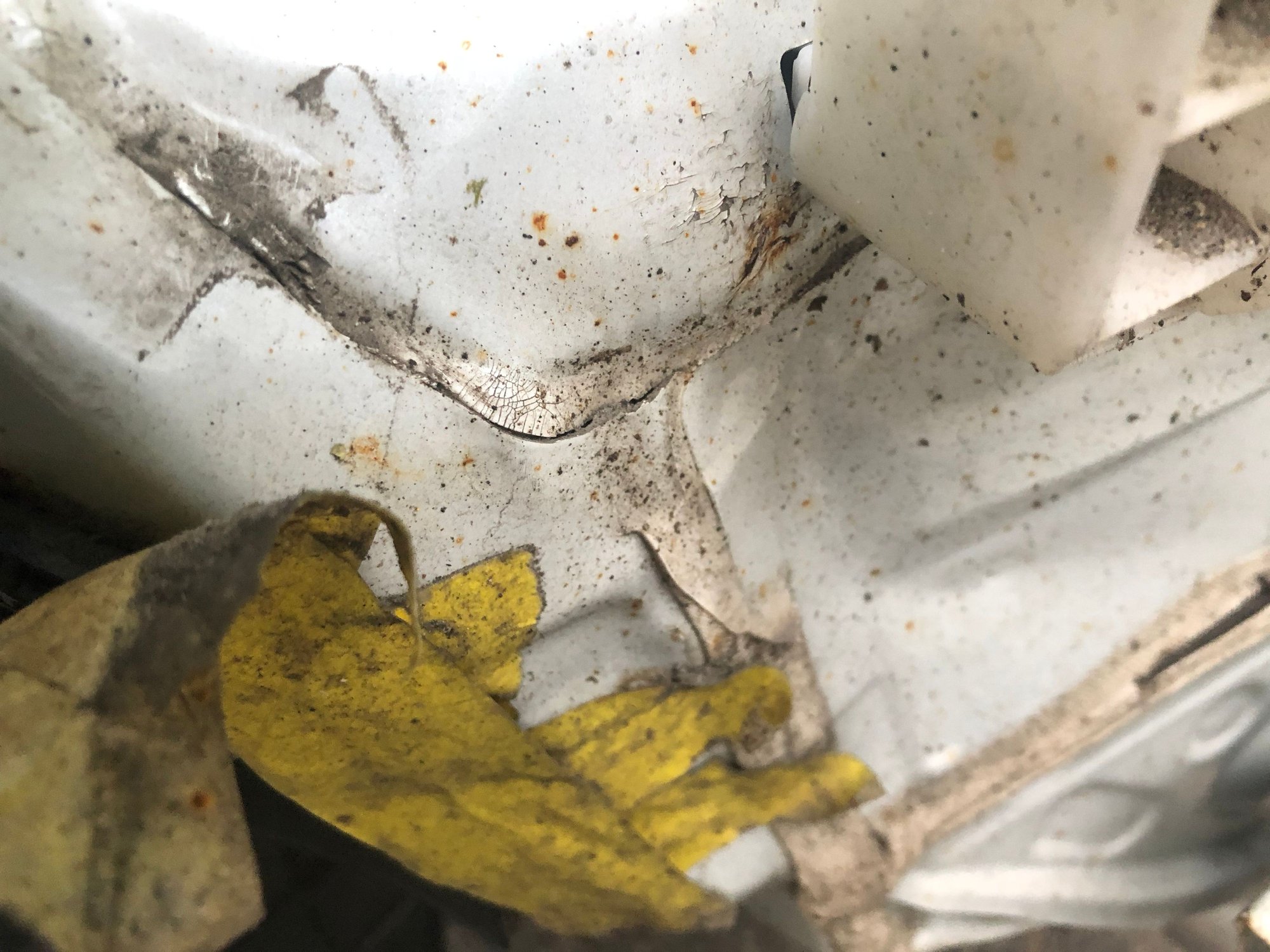 Water leak rear tail light and vents?