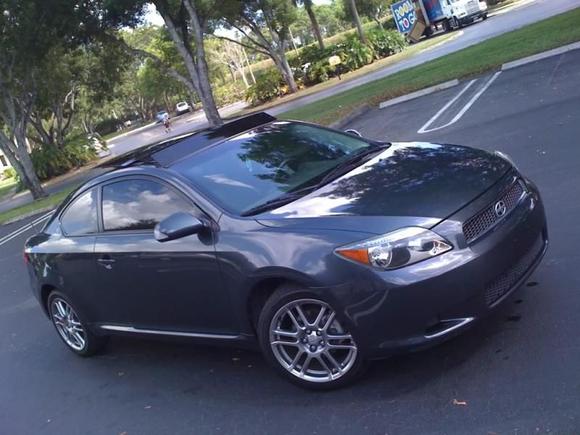 My tC the day I brought her home in Sept. '09.