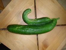 I grew this!