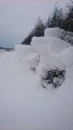 Snowed in at Lands End