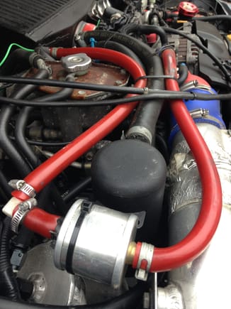 pic of the two catch cans, red pipes- heads, runs back to the turbo inlet. Black catch can which has drain plug at bottom, both have internal gauzing