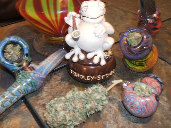 toadley stoned

4 2 0 isnt just smoking pot its a way of life