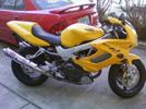 bumble bee