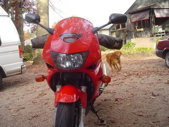 ATV mits for cold weather riding