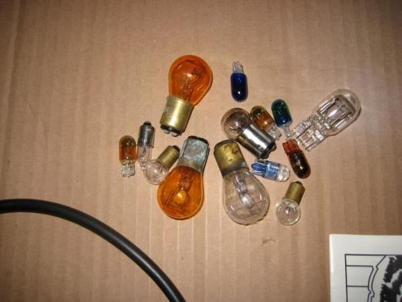 bulbs