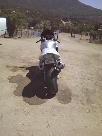 my bike 5 (nice ass)