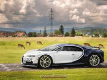 Bugatti Chiron. Facebook: S.Heiligenstein Photographie