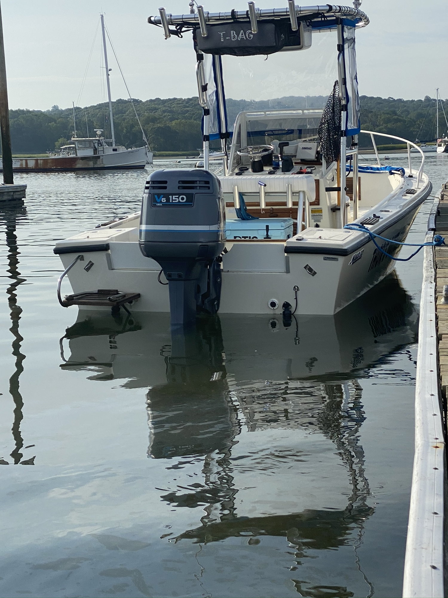 Is my boat to small for the occasional tuna trip? - The Hull Truth -  Boating and Fishing Forum