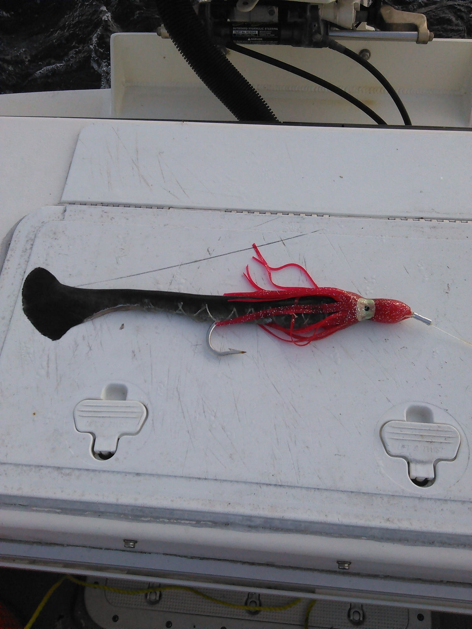 deep slow trolling daytime swordfish - Page 2 - The Hull Truth - Boating  and Fishing Forum