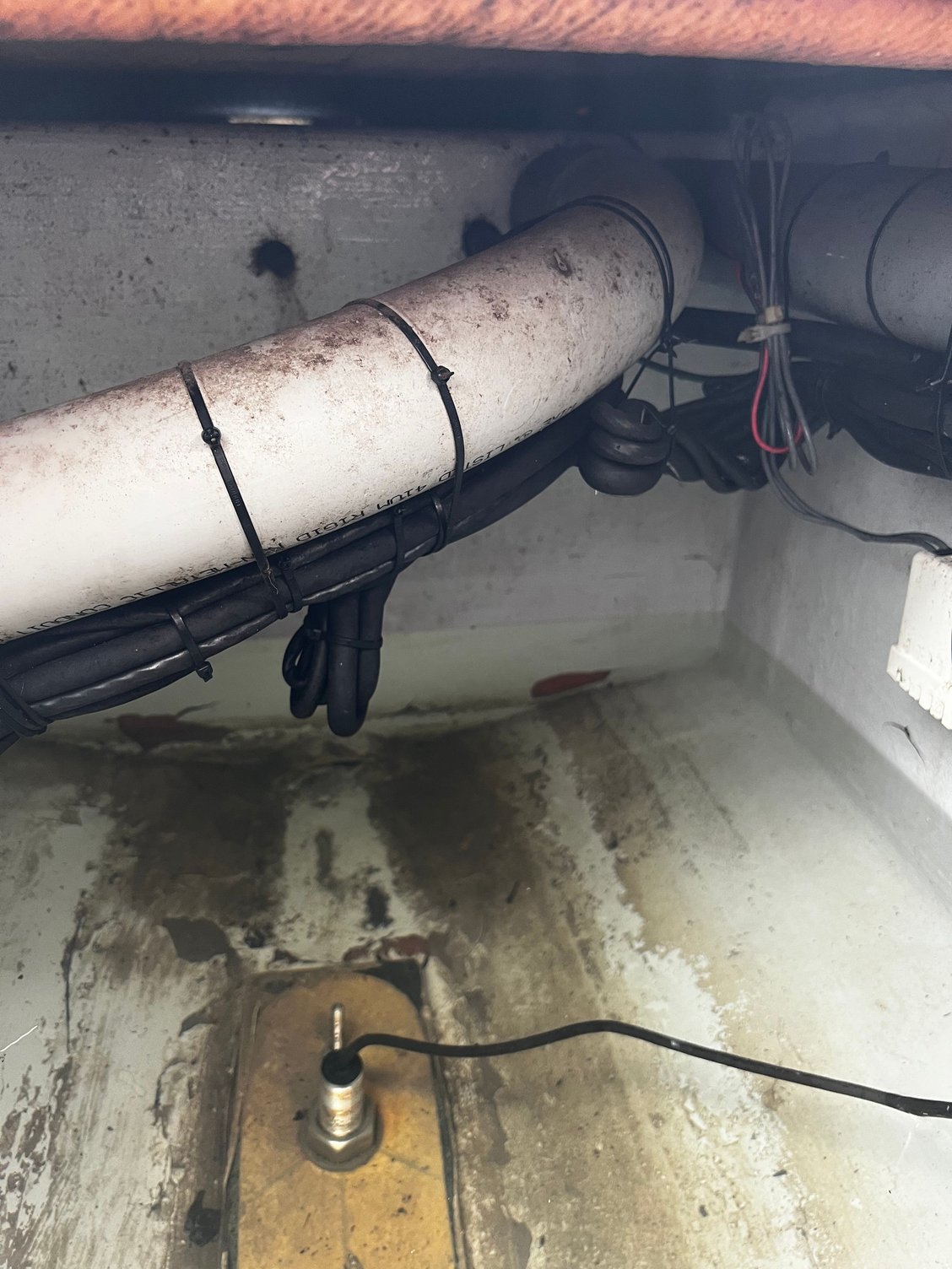 Contender guys Help! Fuel tank original? The Hull Truth Boating and