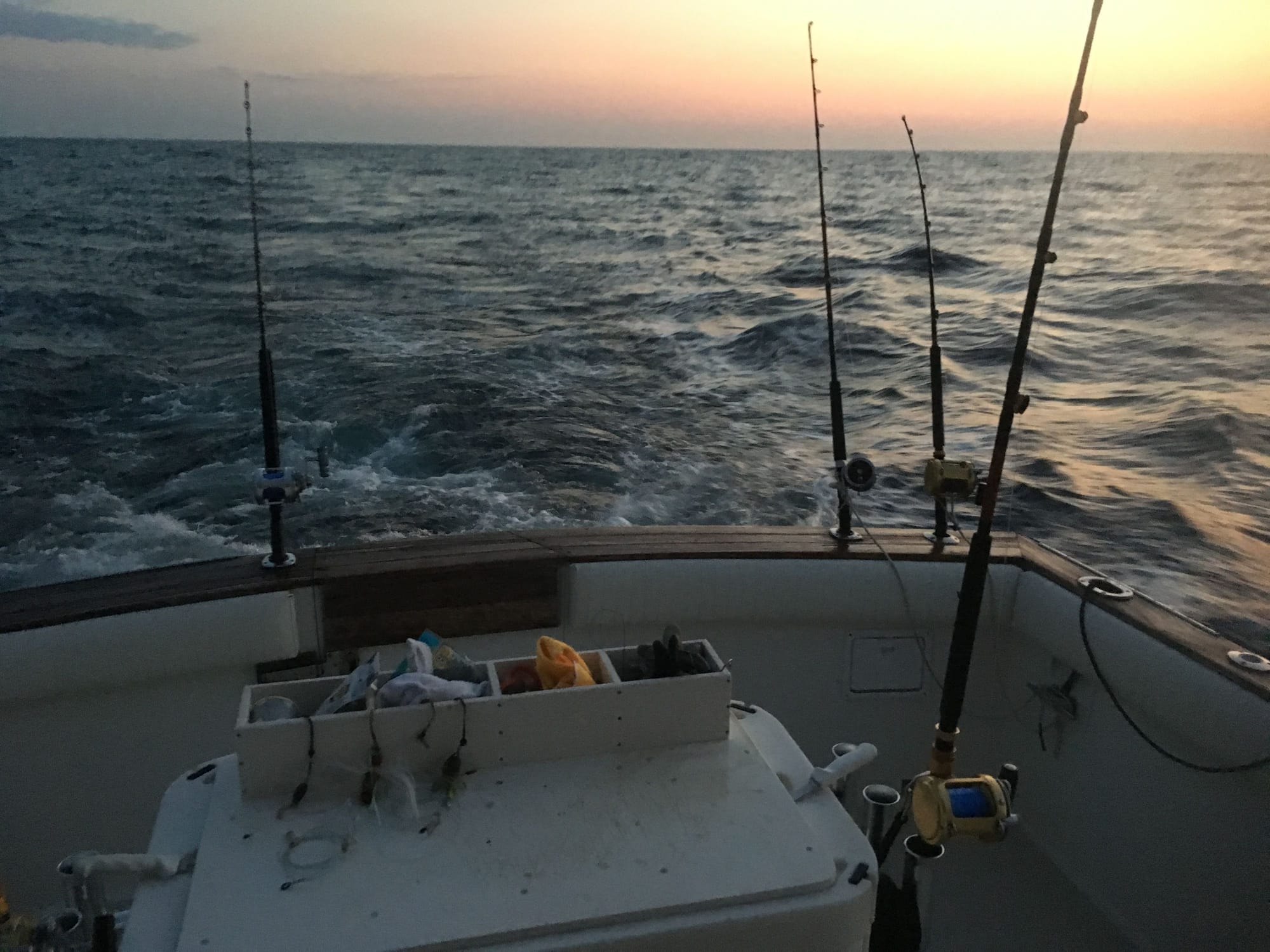 35 Californian Sportfish - The Hull Truth - Boating and Fishing Forum