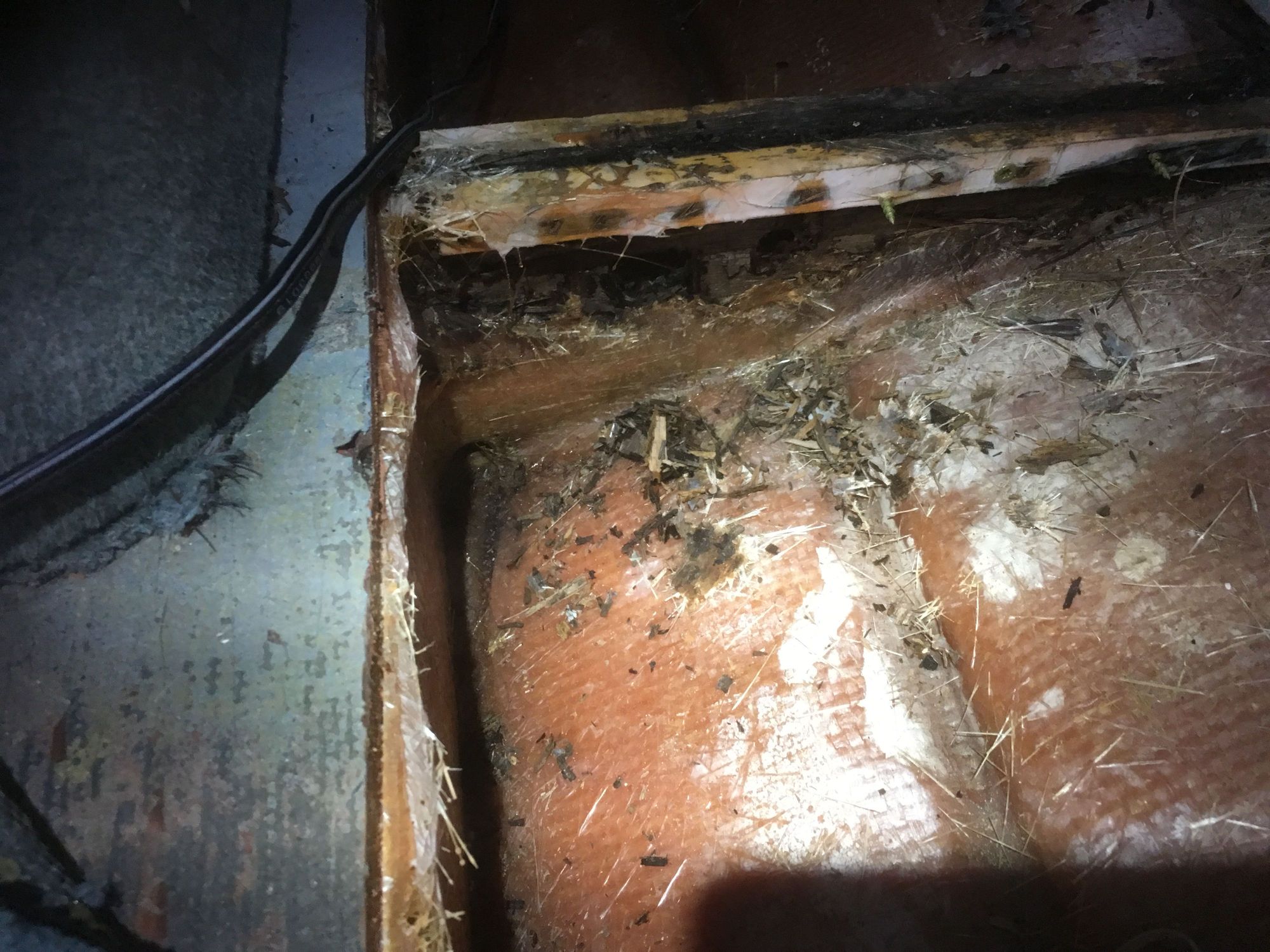 The Hull Truth - Boating and Fishing Forum - Rotted Stringer