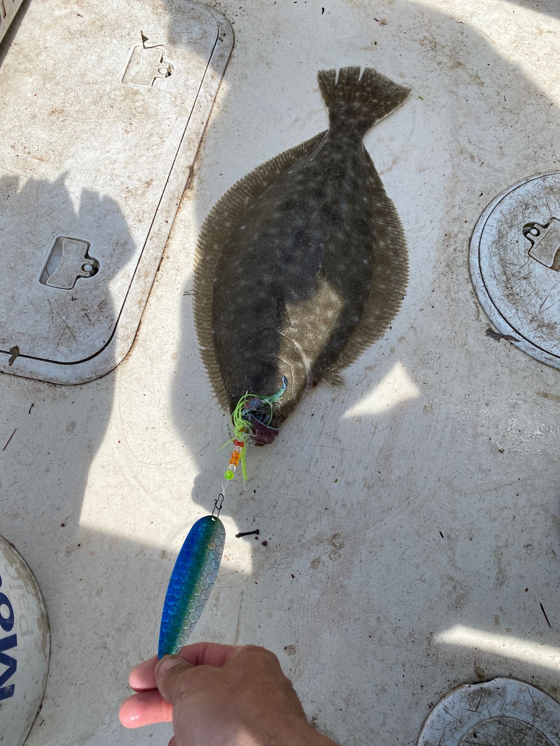 Best Fluke summer Flounder B2 Squid Bottom Fishing Lures FREE RIGS 