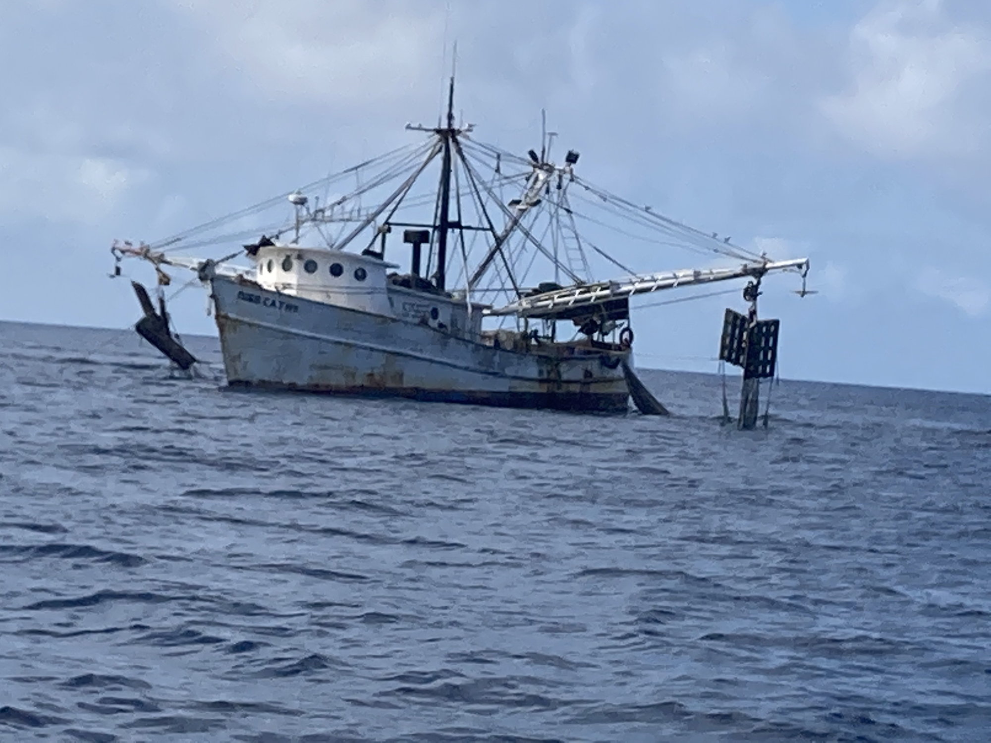 Fishing Behind The Shrimp Boats?