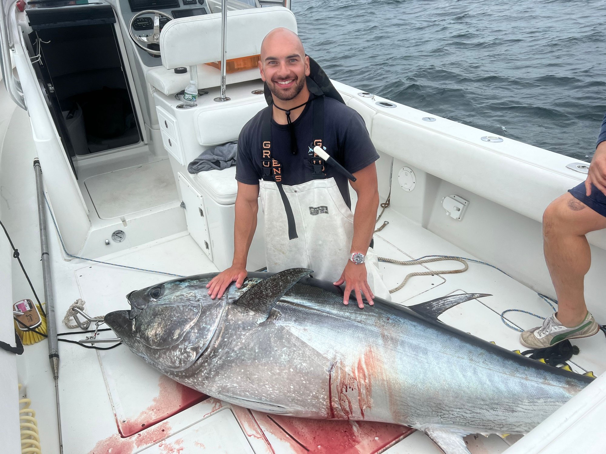 Steiger 31 - The Hull Truth - Boating and Fishing Forum