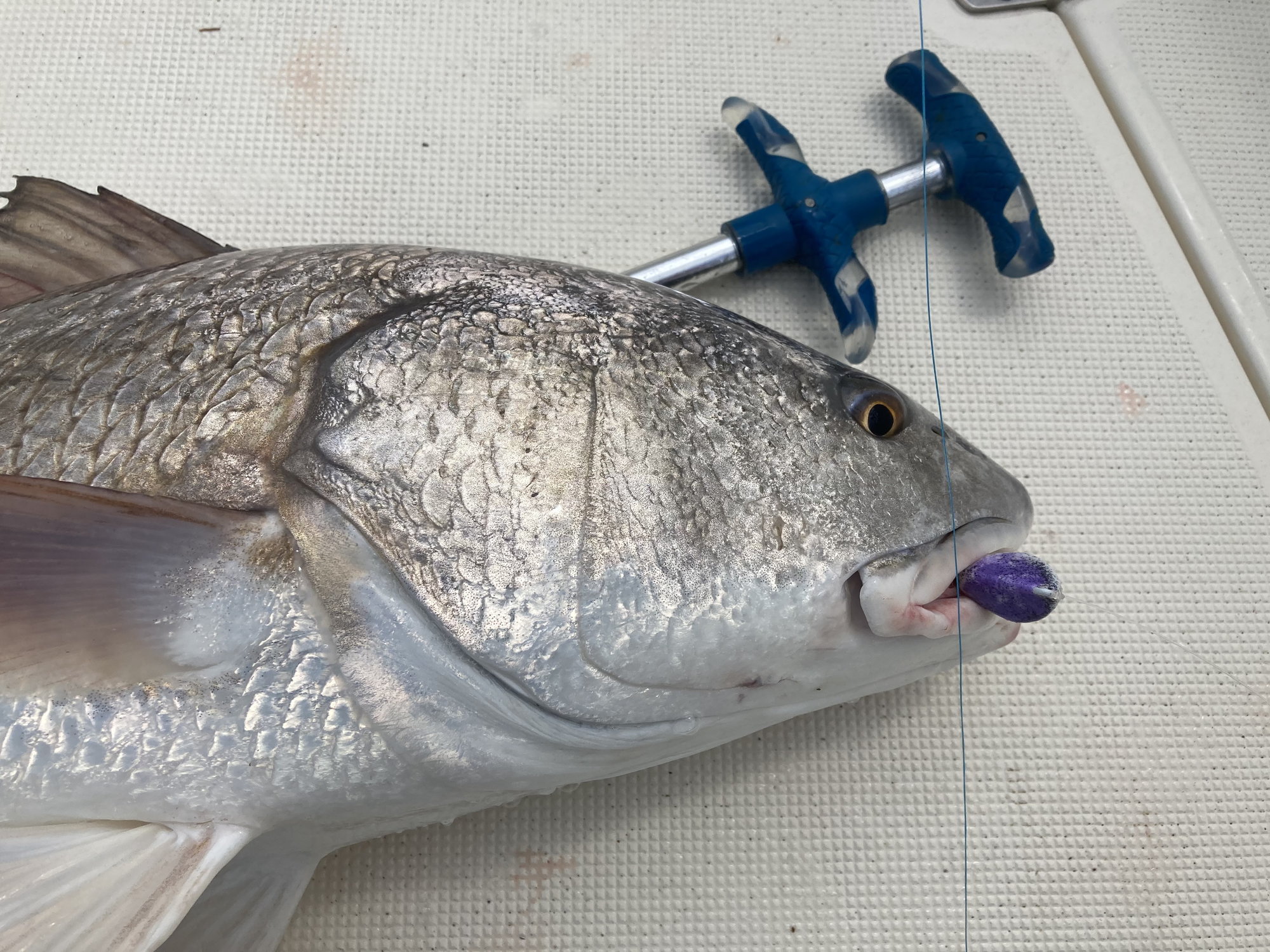 collins custom sheepshead mold and stand up jig mold - The Hull Truth -  Boating and Fishing Forum