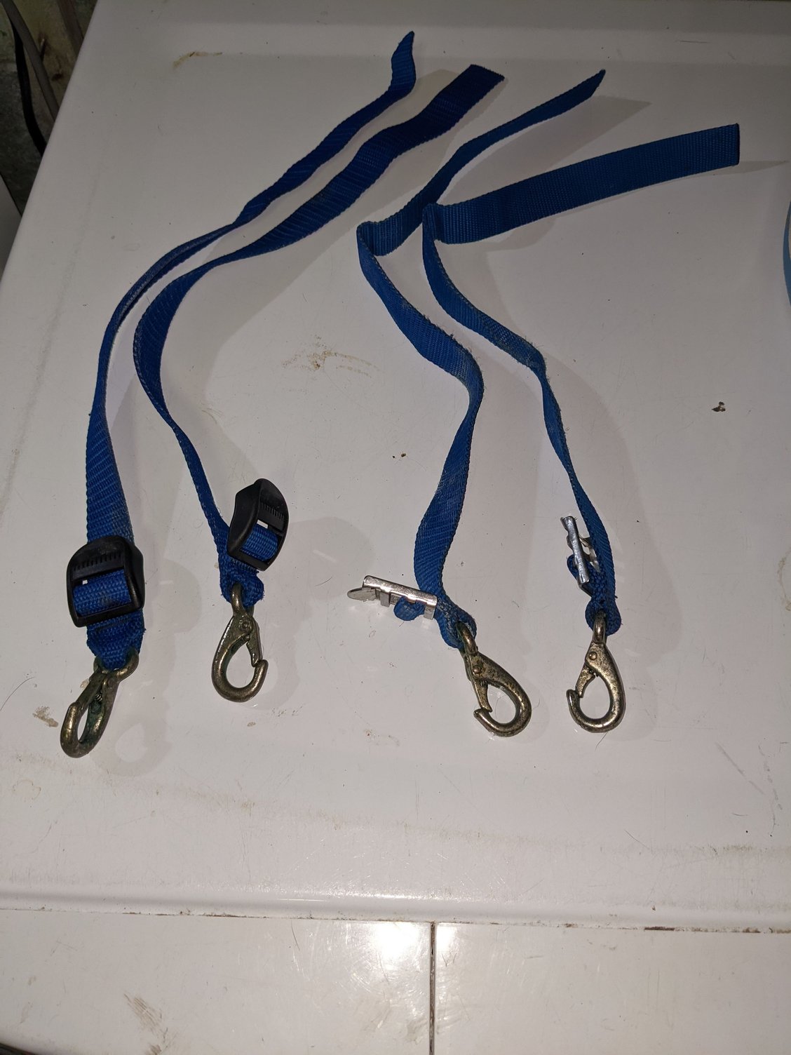 Braid Blue-Fin Harness