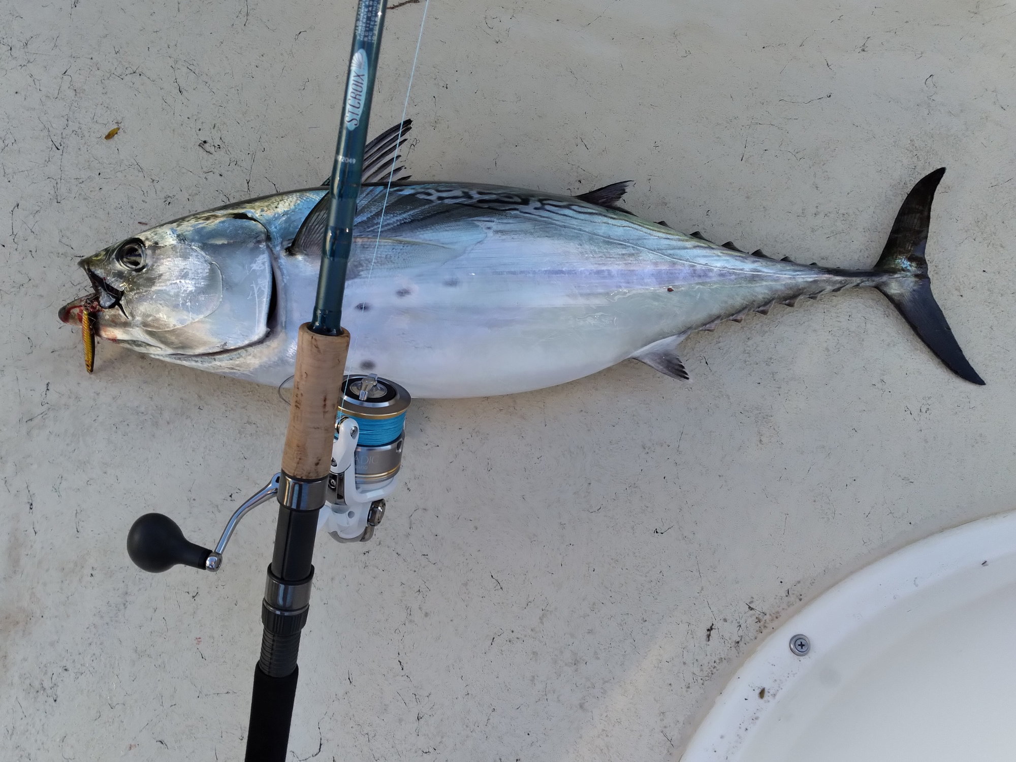 Shimano Striper Gear Recommendations - The Hull Truth - Boating