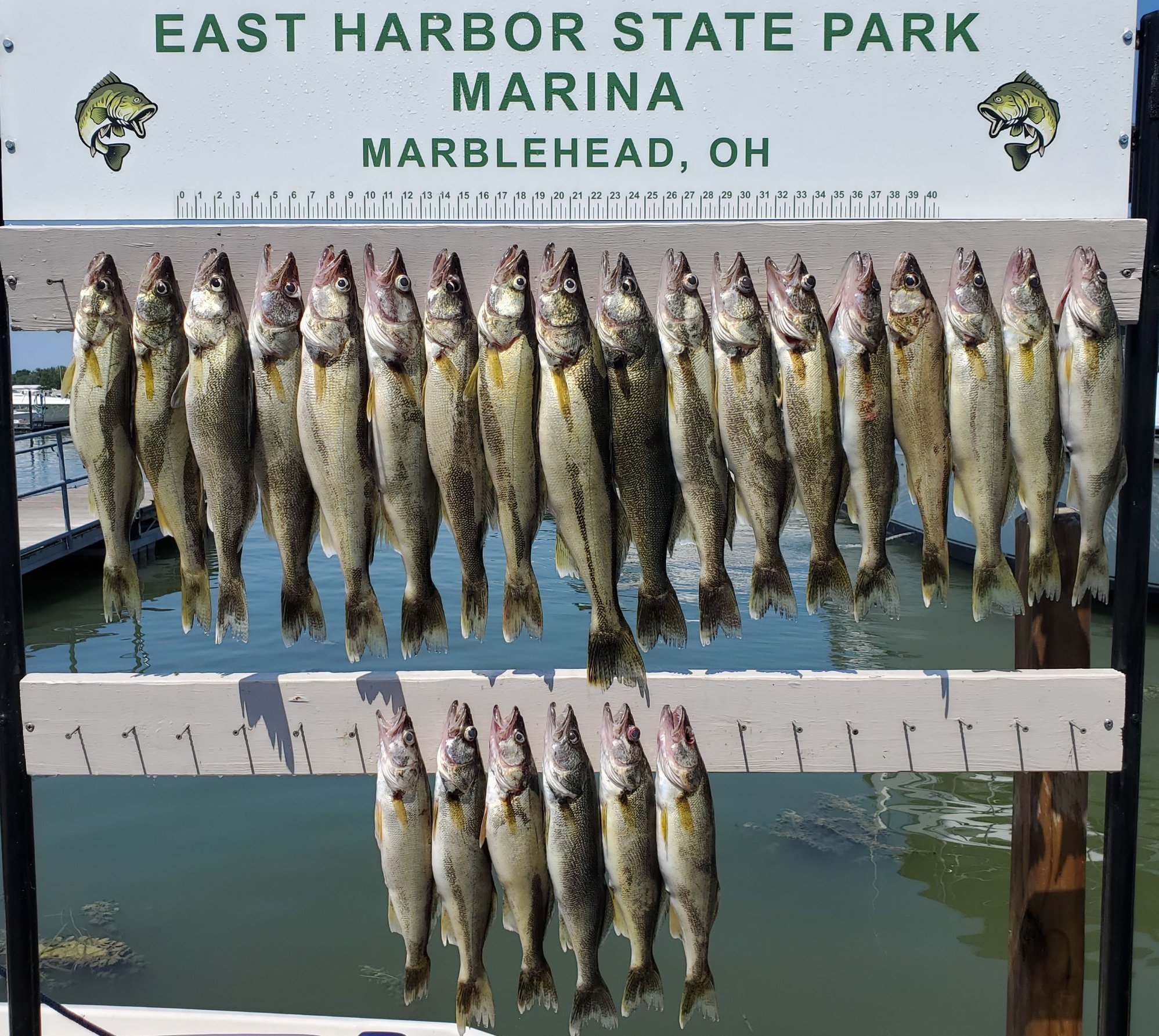 Western Lake Erie fishing report . - Page 112 - The Hull 