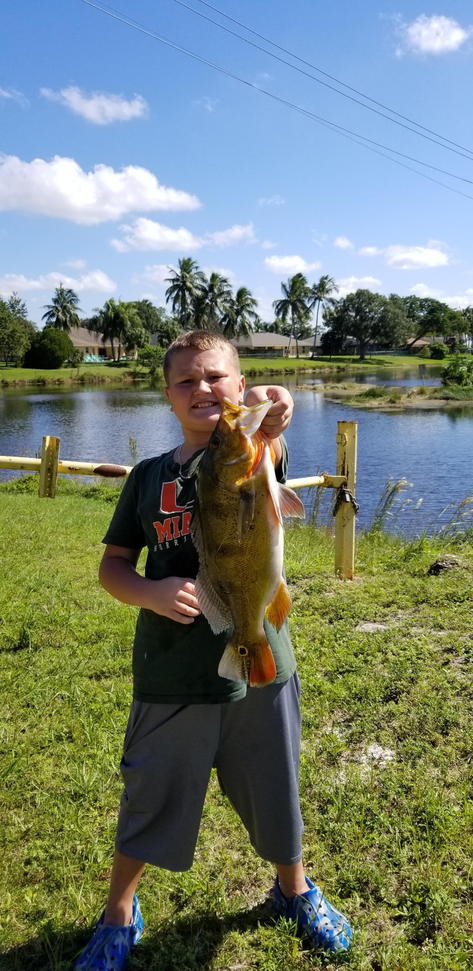 Peacock Bass Fishing In The AeroJet Canal 